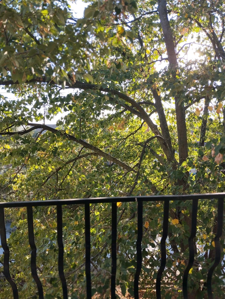 Image uploaded by Milijana