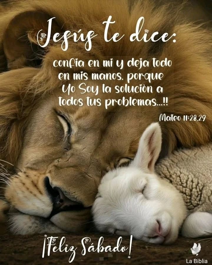 🫶🏻🌷✨ Whispers Of Harmony, Kindness and Light! ✨🌷🫶🏻