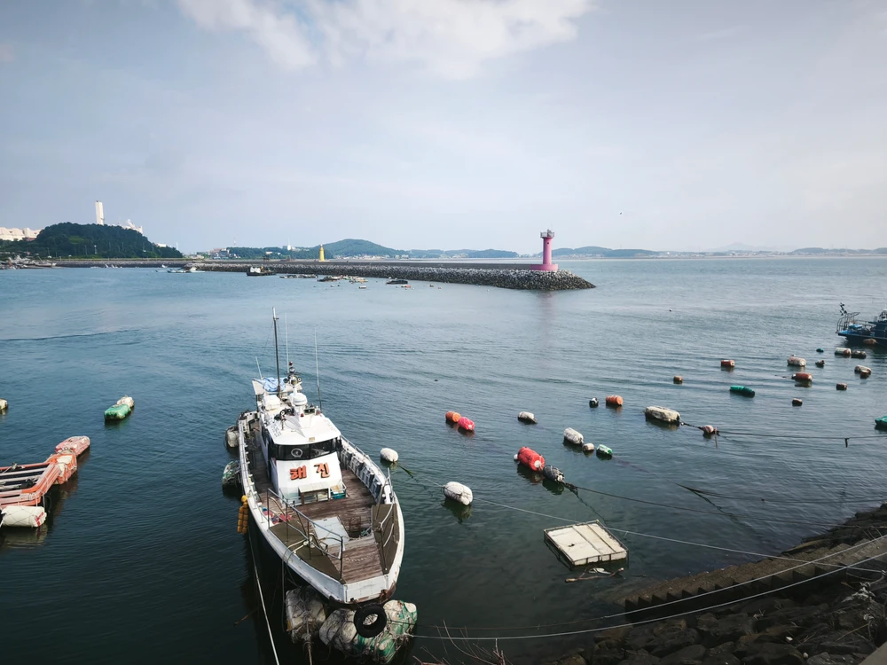 성우님이 올린 사진