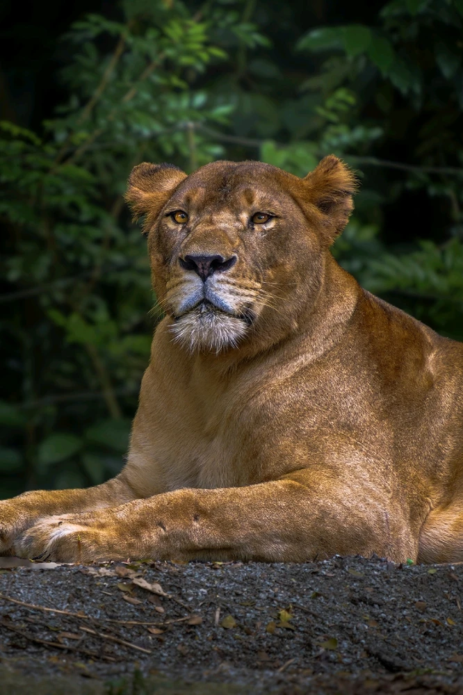 GIF uploaded by Hao Wen