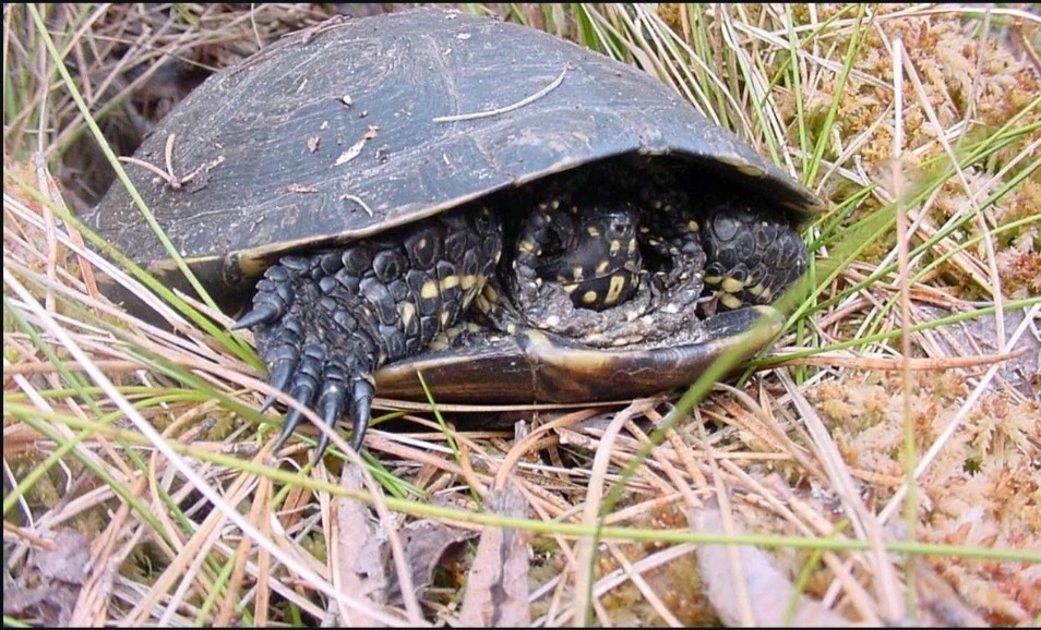 Image uploaded by Valde