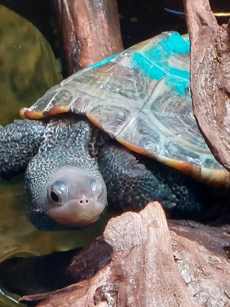 GIF uploaded by Jonathan