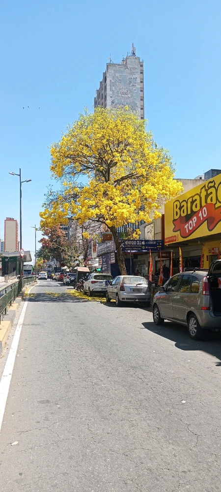 Contraste nas ruas de Goiânia.