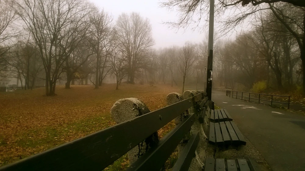 Image uploaded by Tevin Williams