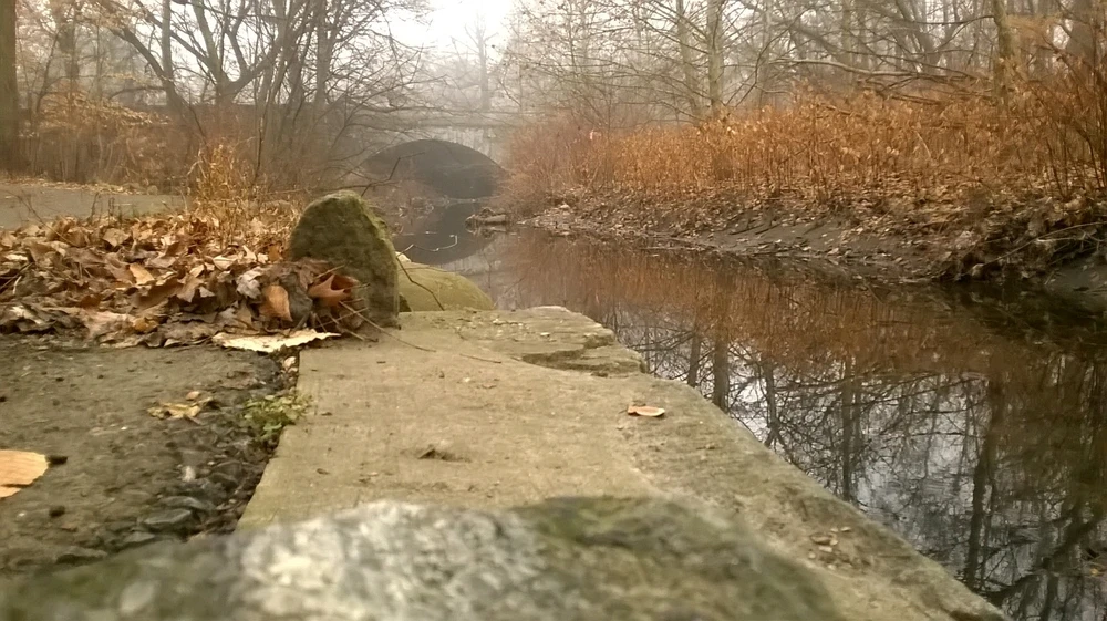 Image uploaded by Tevin Williams