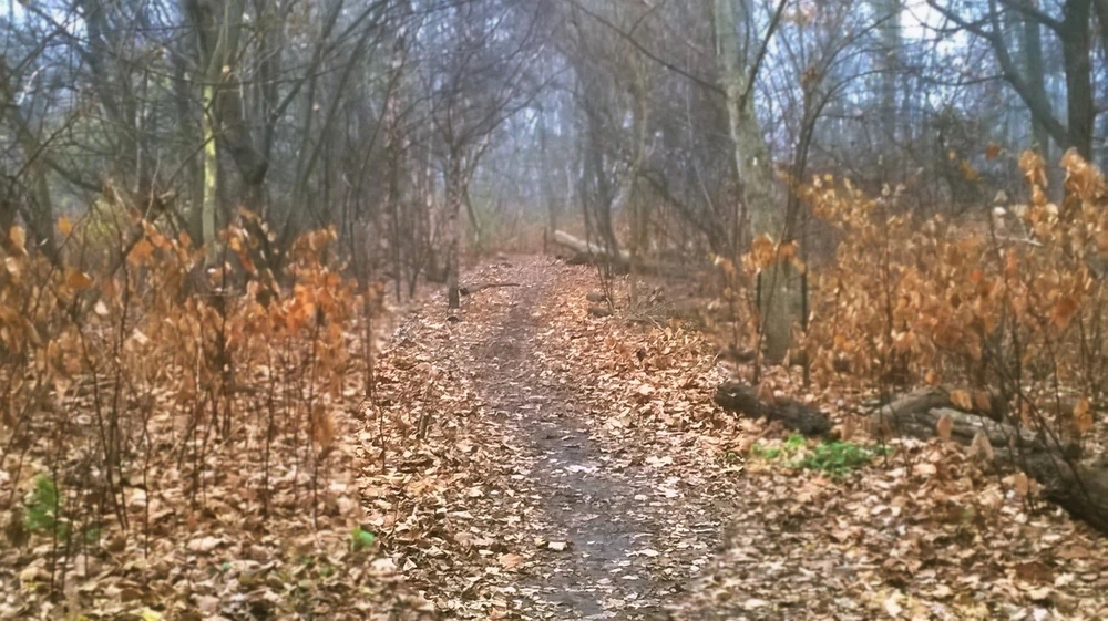 Image uploaded by Tevin Williams