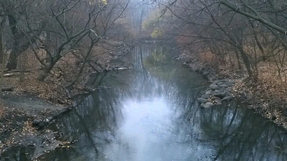 Image uploaded by Tevin Williams