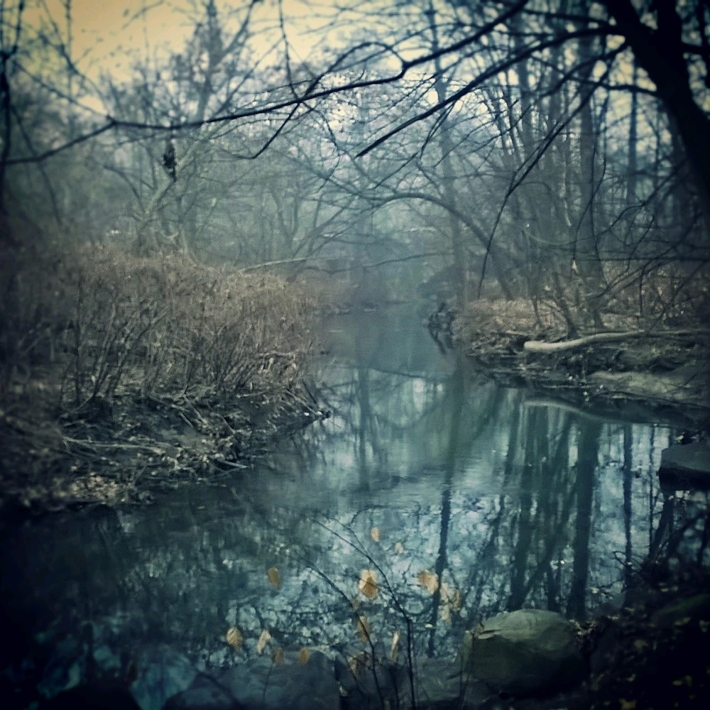 Image uploaded by Tevin Williams