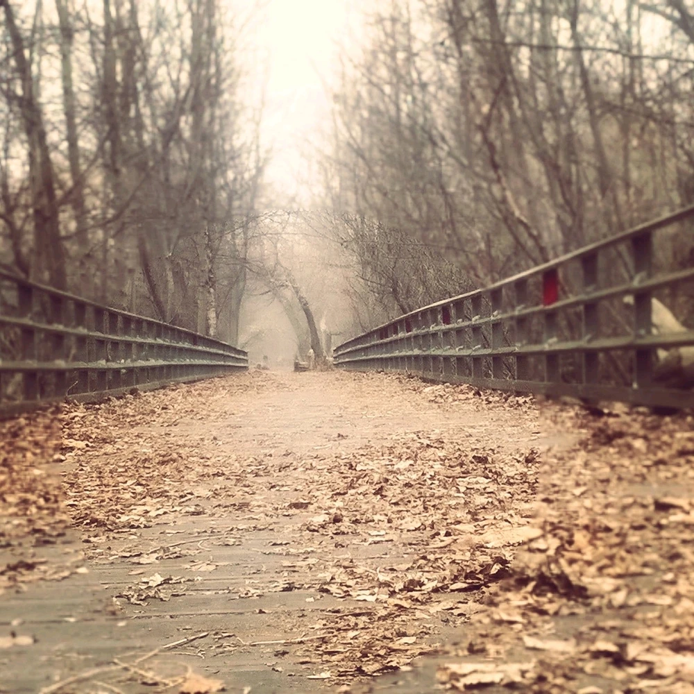 Image uploaded by Tevin Williams