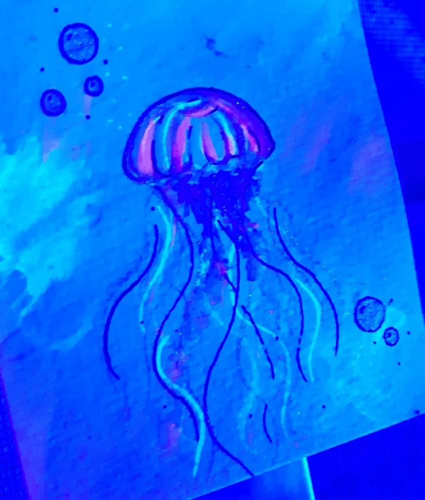 Jellyfish 🐚