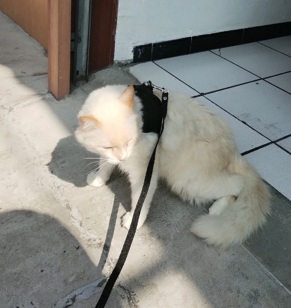 Imagen subida por Iliana Dessiré Hernández Trujillo