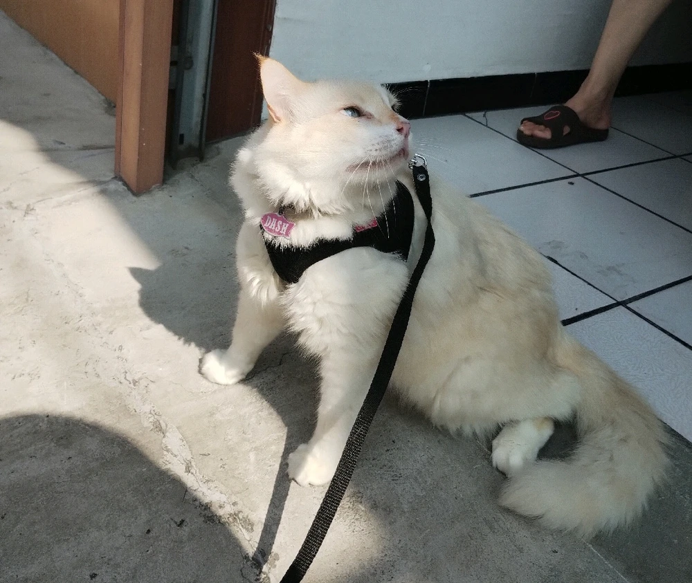 Imagen subida por Iliana Dessiré Hernández Trujillo