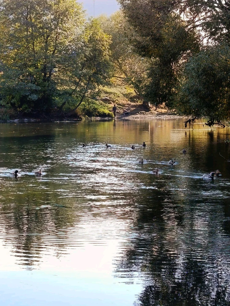 Фото загрузил Анге