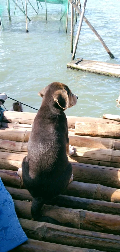 Image uploaded by Normz