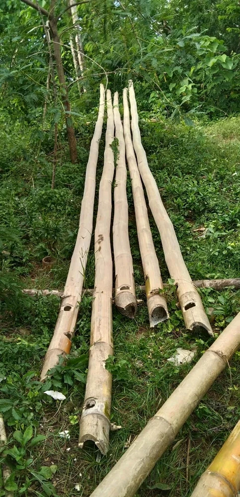 Image uploaded by Normz