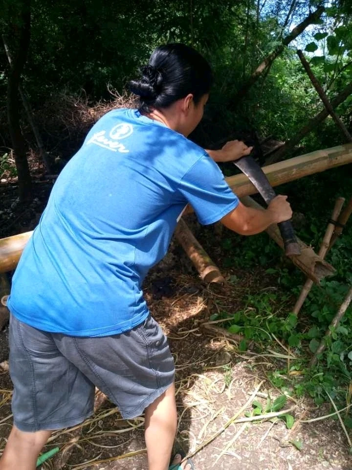 Image uploaded by Normz