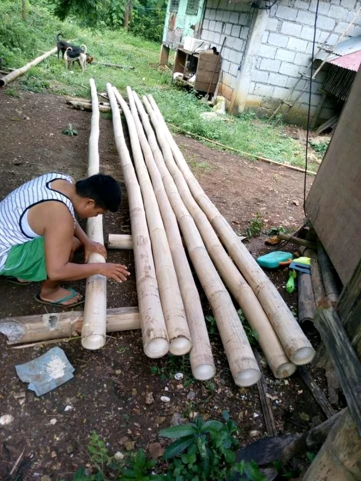 Image uploaded by Normz