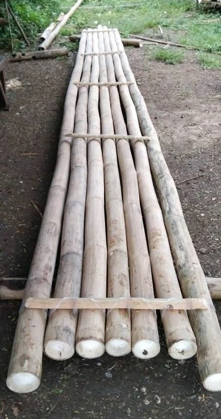 Image uploaded by Normz