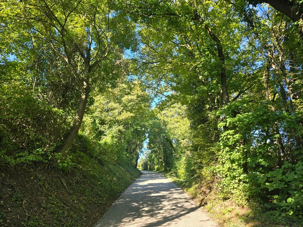 Image uploaded by Tan