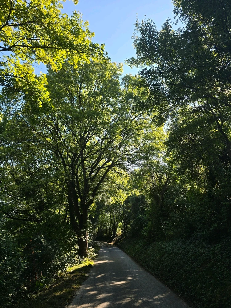 Image uploaded by Tan