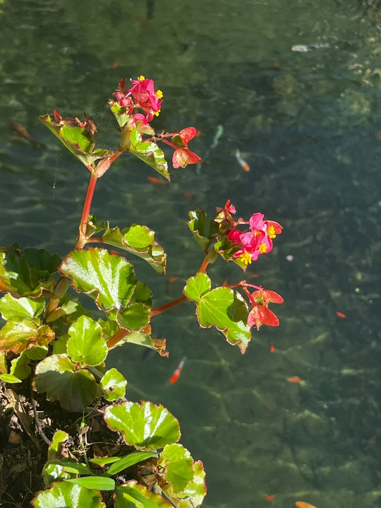GIF uploaded by Alvin
