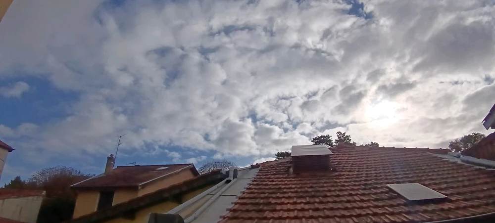 Un coucou du matin 🙋