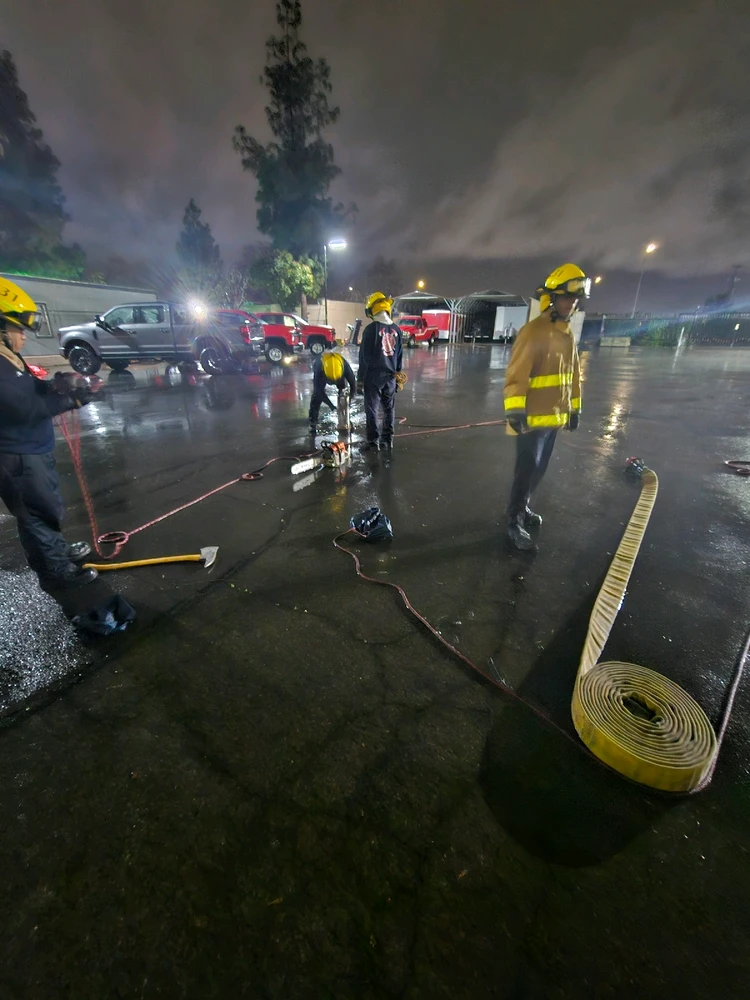 Image uploaded by Eliber