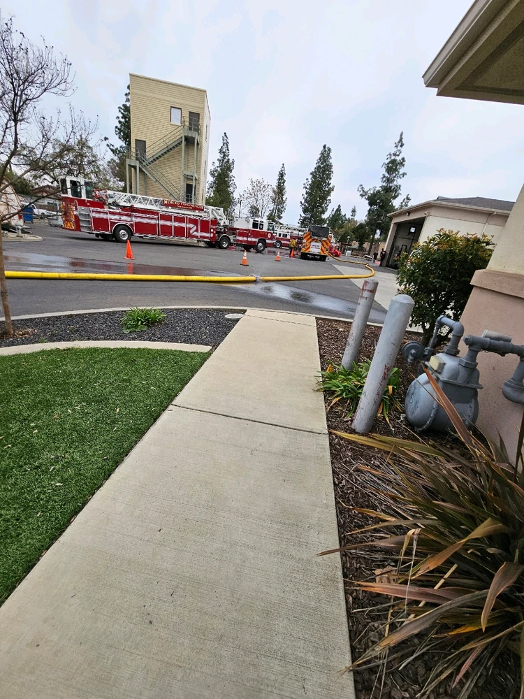 Image uploaded by Eliber