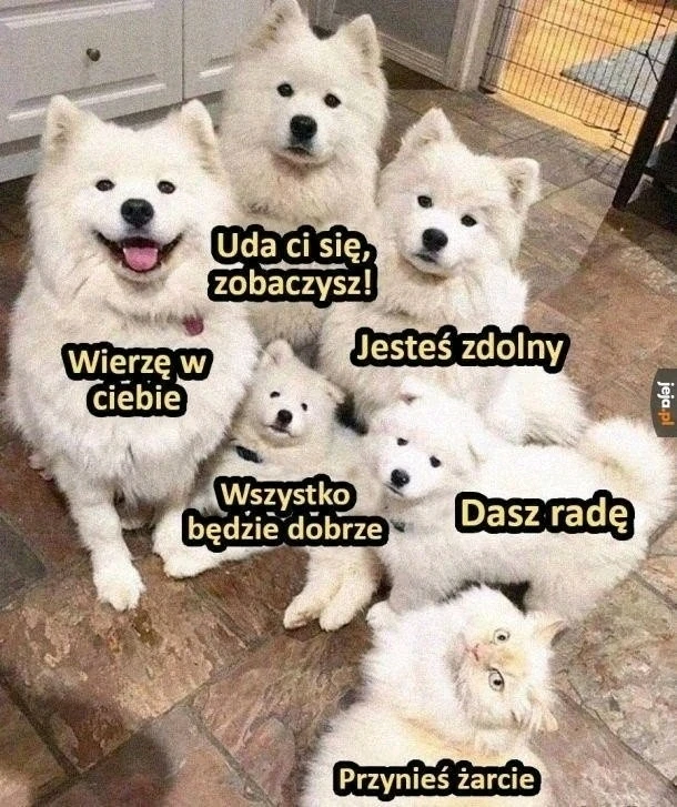 GIF dodany przez Alicja