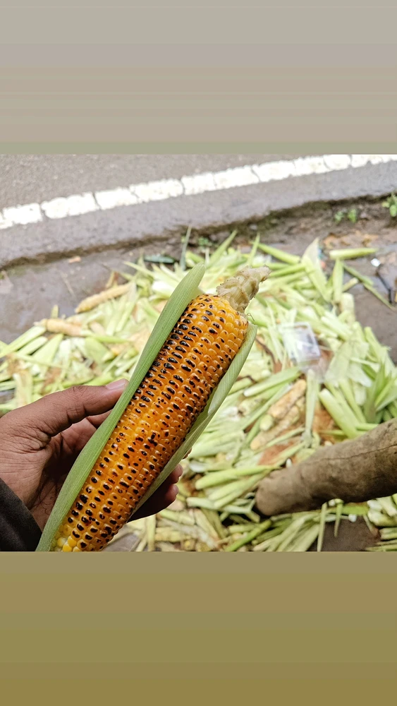 BBQ Baby corn ๐ฝ