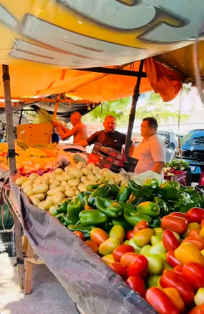 GIF enviado por Shirley