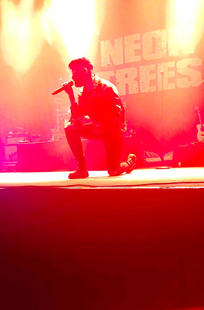 Image uploaded by Kevin