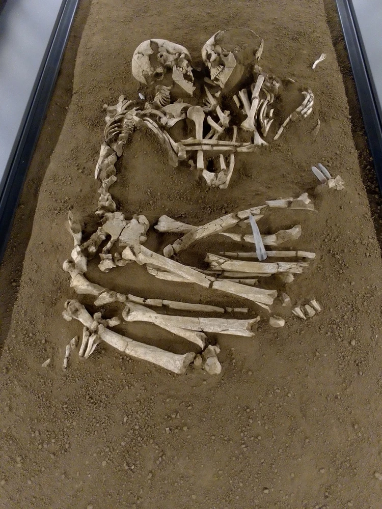 GIF caricata da Salvatore