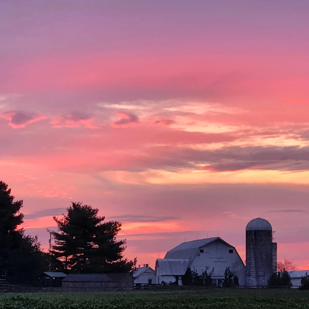 Nothing beats this and COFFEE Happy Sunday!