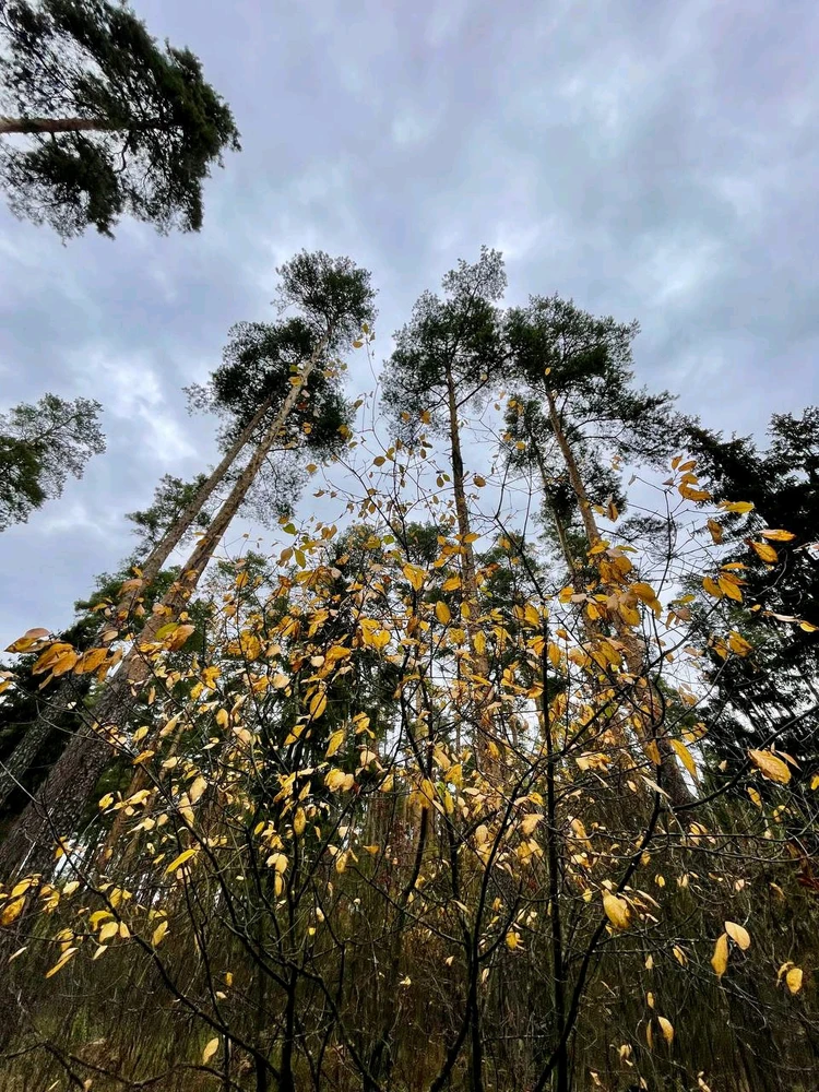 Фото загрузил Anatolii