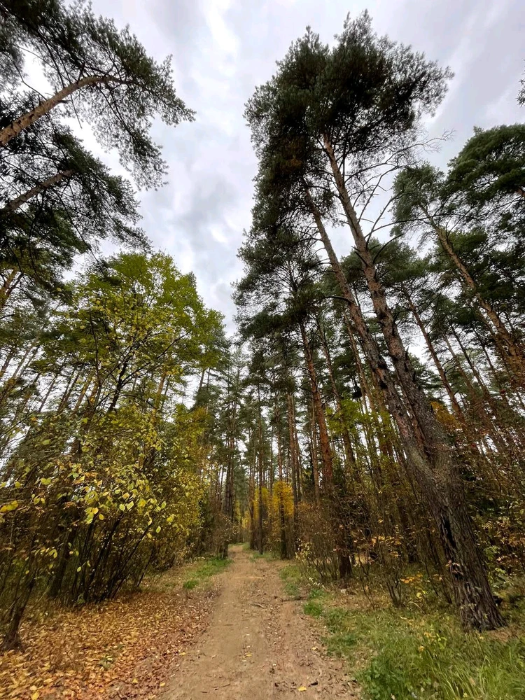 Фото загрузил Anatolii