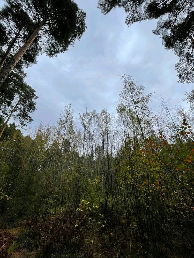 Фото загрузил Anatolii