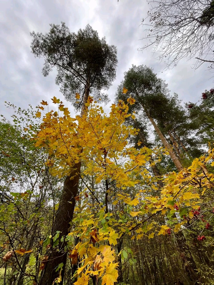 Фото загрузил Anatolii