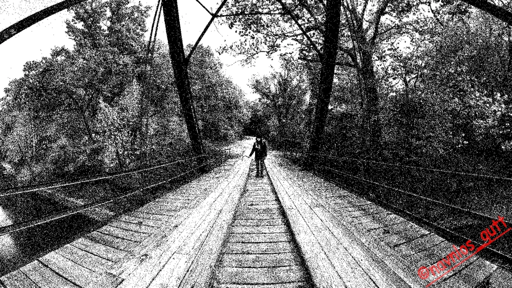 Image uploaded by Mike