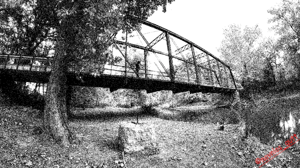 Image uploaded by Mike