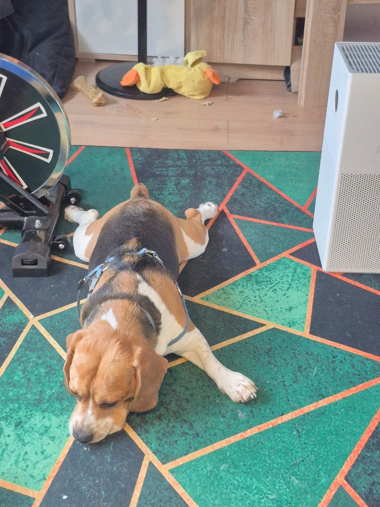 Niedziela wieczur i humor popsuty