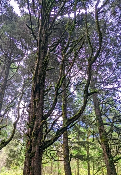 Gambar diunggah oleh Fani