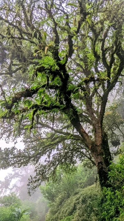 Gambar diunggah oleh Fani