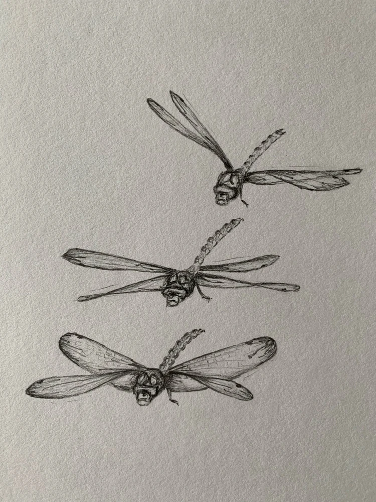 GIF diunggah dening Ana