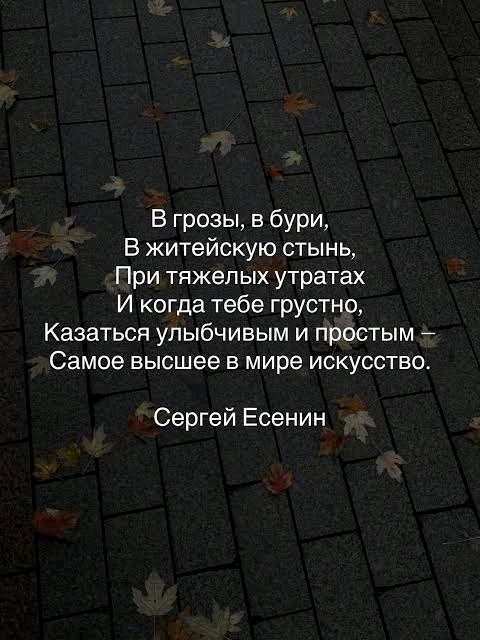 GIF загрузил Сергей