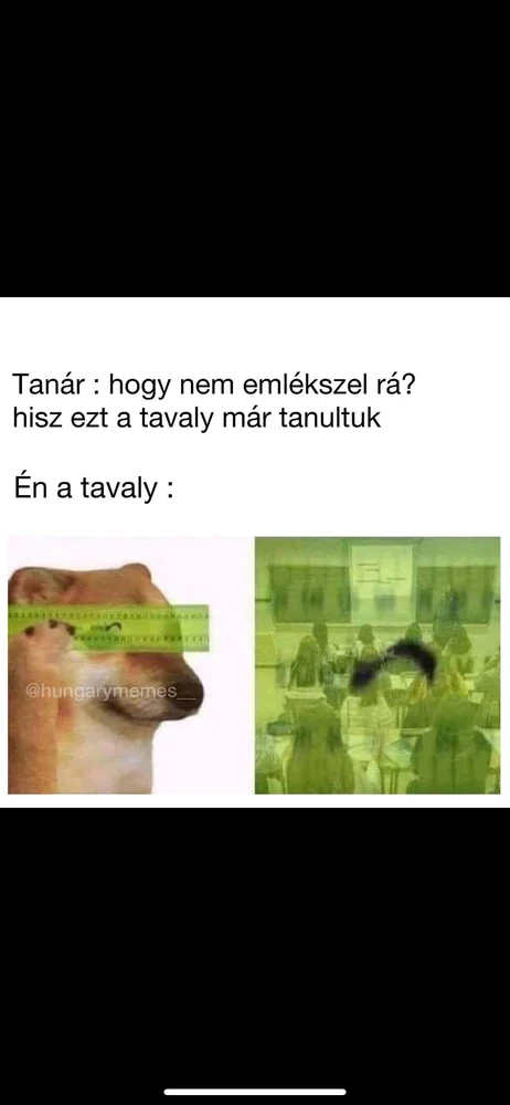 Ádám által feltöltött GIF