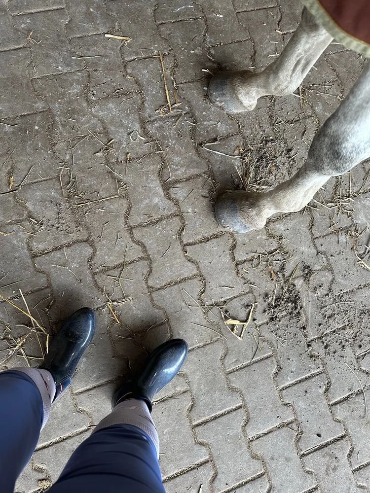 GIF dodany przez Venus