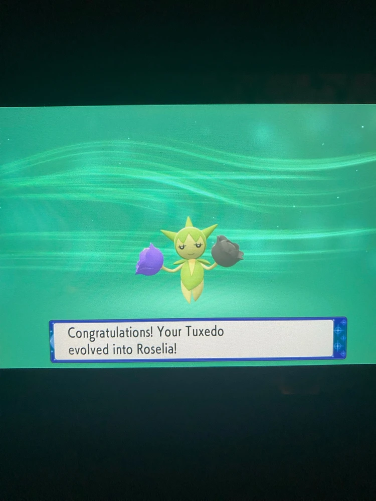 Uma forma intermediária que além de beleza, prometia também muita força e habilidade!! 🤩