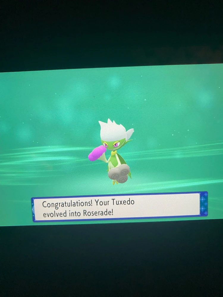 Sua forma final extremamente encantadora, uma máscara em verde esmeralda, olhos púrpura e rosas extraordinárias um explendor!