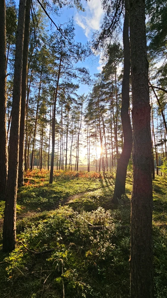 Zdjęcie dodane przez Sebastian